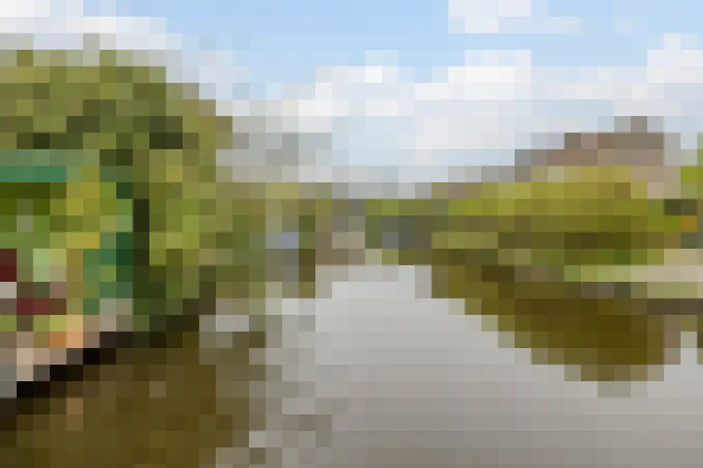 Pijlstaartpad 11 Voorschoten thumbnail 41