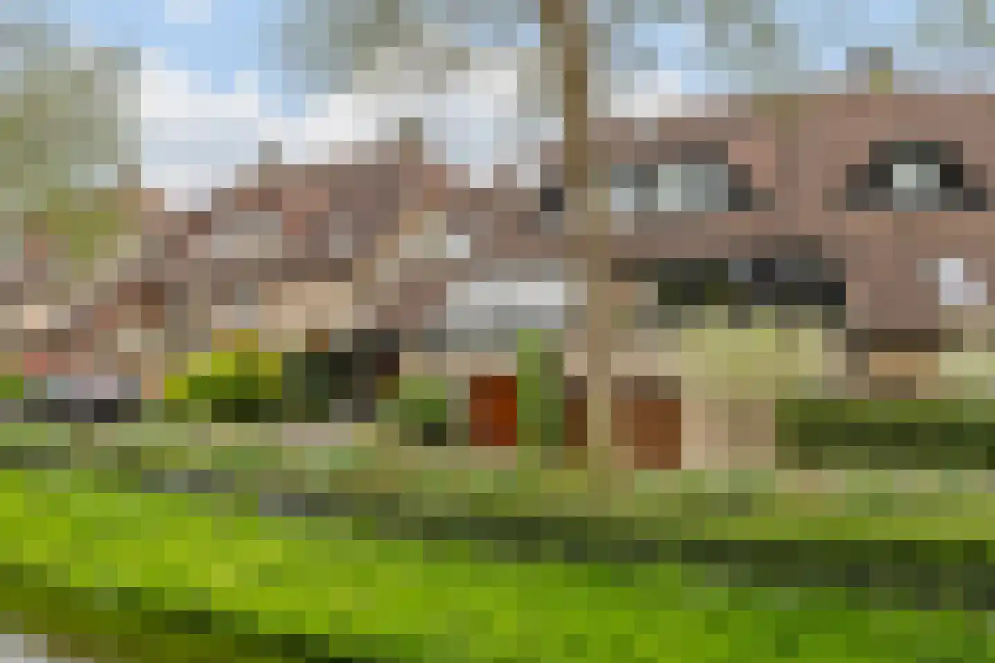 Pijlstaartpad 11 Voorschoten thumbnail 42