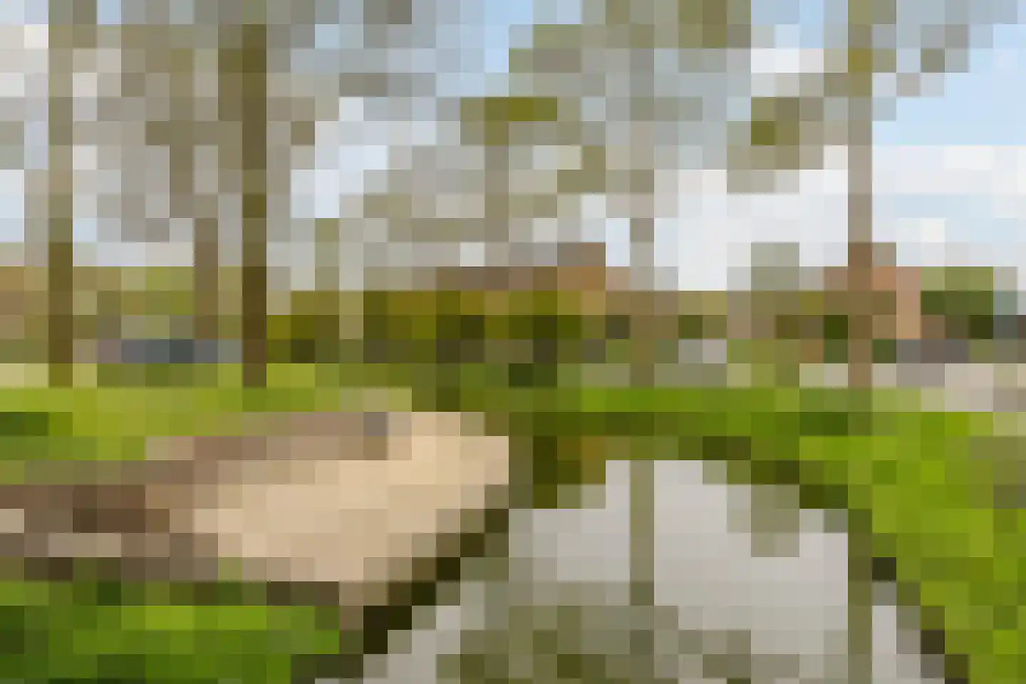 Pijlstaartpad 11 Voorschoten thumbnail 43