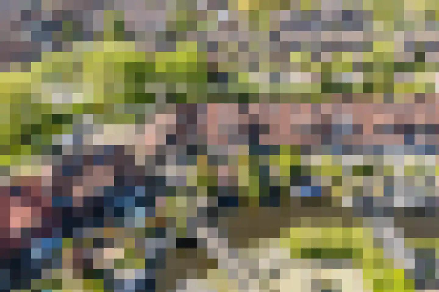 Pijlstaartpad 11 Voorschoten thumbnail 46