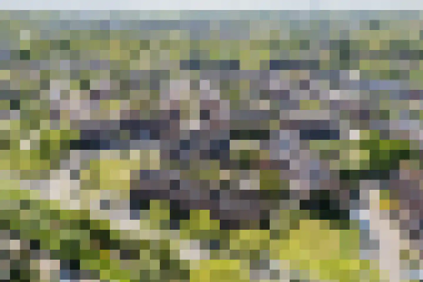 Pijlstaartpad 11 Voorschoten thumbnail 47