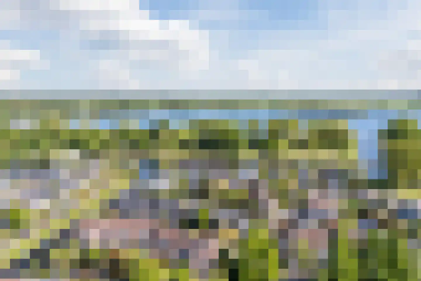 Pijlstaartpad 11 Voorschoten thumbnail 48
