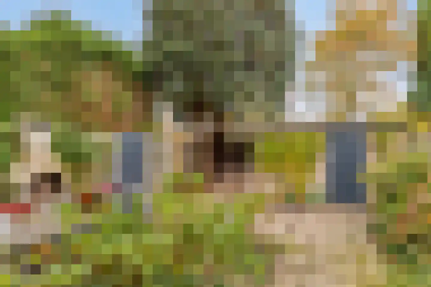 Pijlstaartpad 27 Eindhoven thumbnail 33