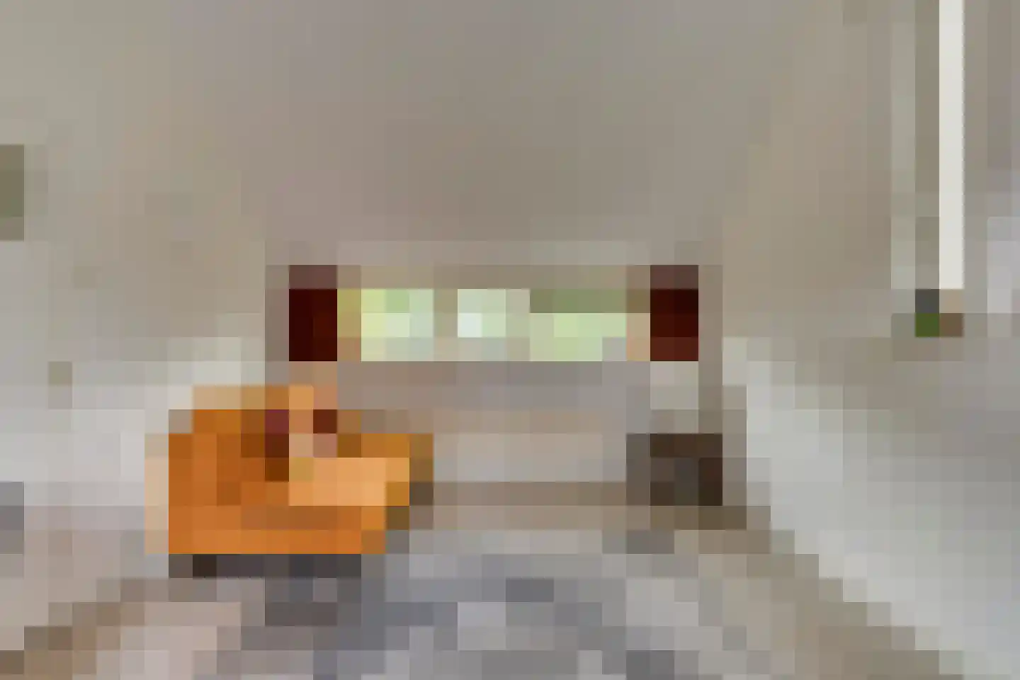 Pijlstaartpad 27 Eindhoven thumbnail 44