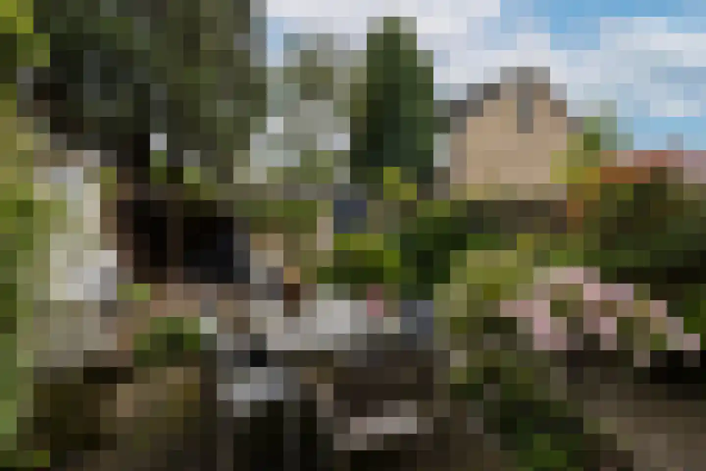 Pijlstaartpad 27 Eindhoven thumbnail 5