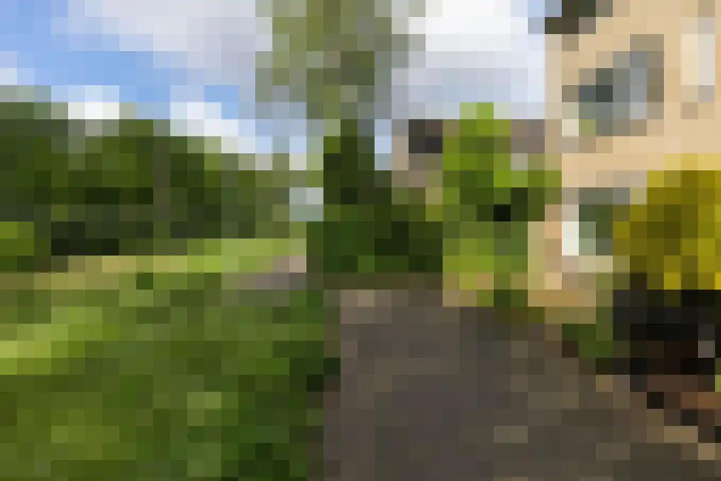 Pijlstaartpad 27 Eindhoven thumbnail 8