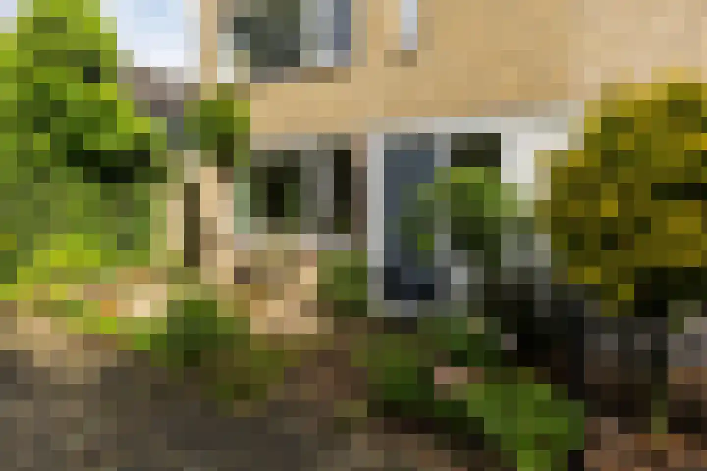 Pijlstaartpad 27 Eindhoven thumbnail 9