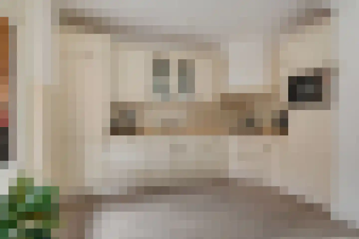 Pijlstaartpad 31 Eindhoven thumbnail 10