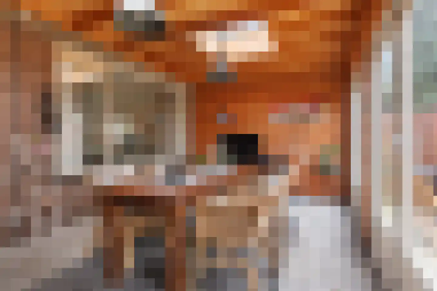 Pijlstaartpad 31 Eindhoven thumbnail 13