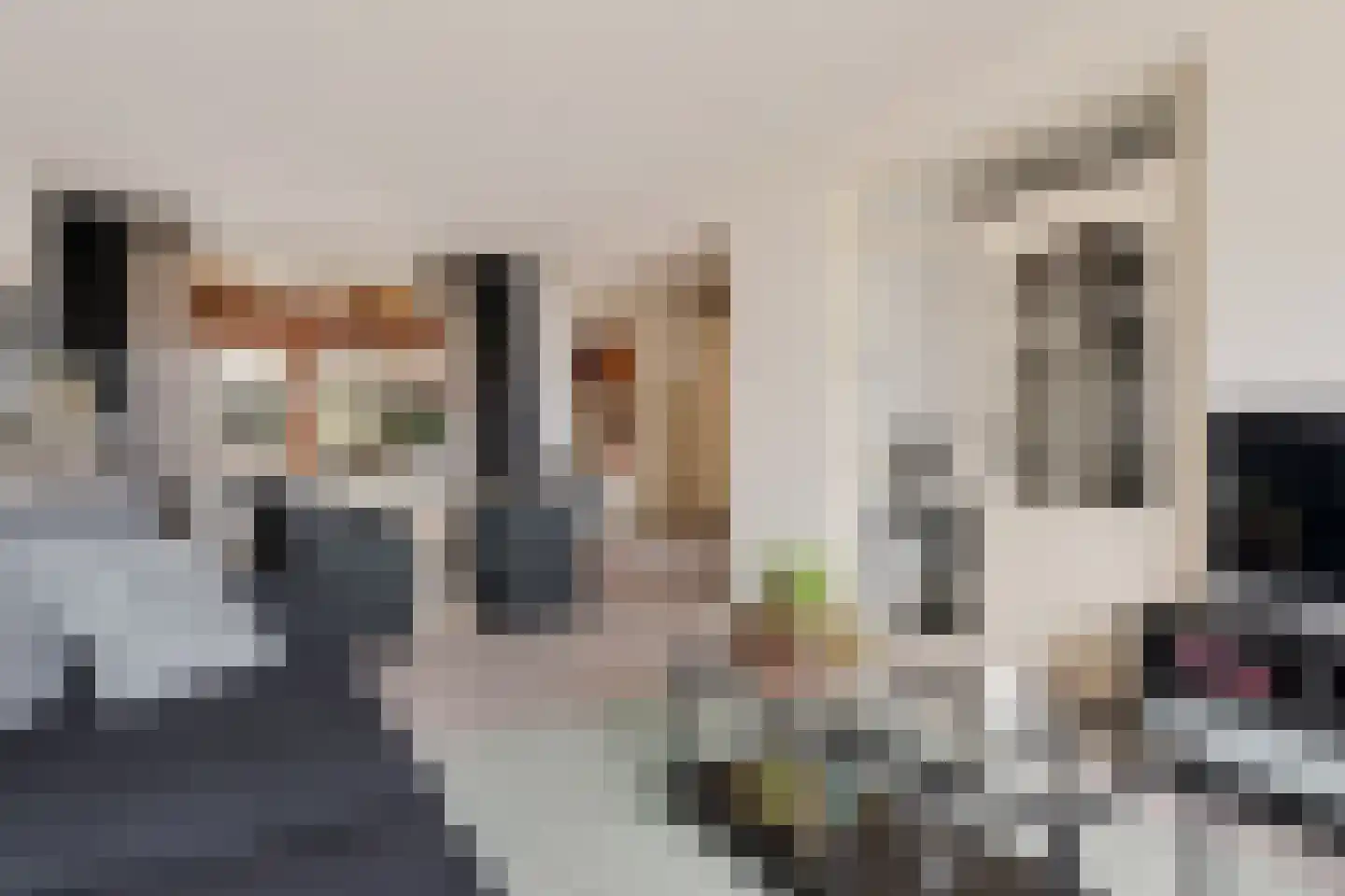 Pijlstaartpad 31 Eindhoven thumbnail 5