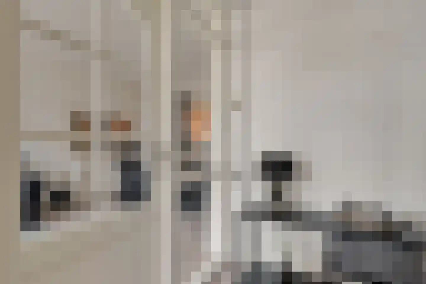 Pijlstaartpad 31 Eindhoven thumbnail 8