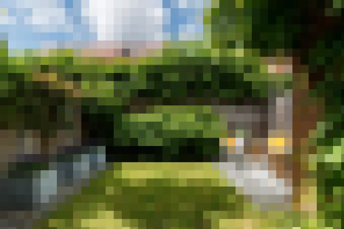 Pijlstaartvlinder 18 Utrecht thumbnail 10