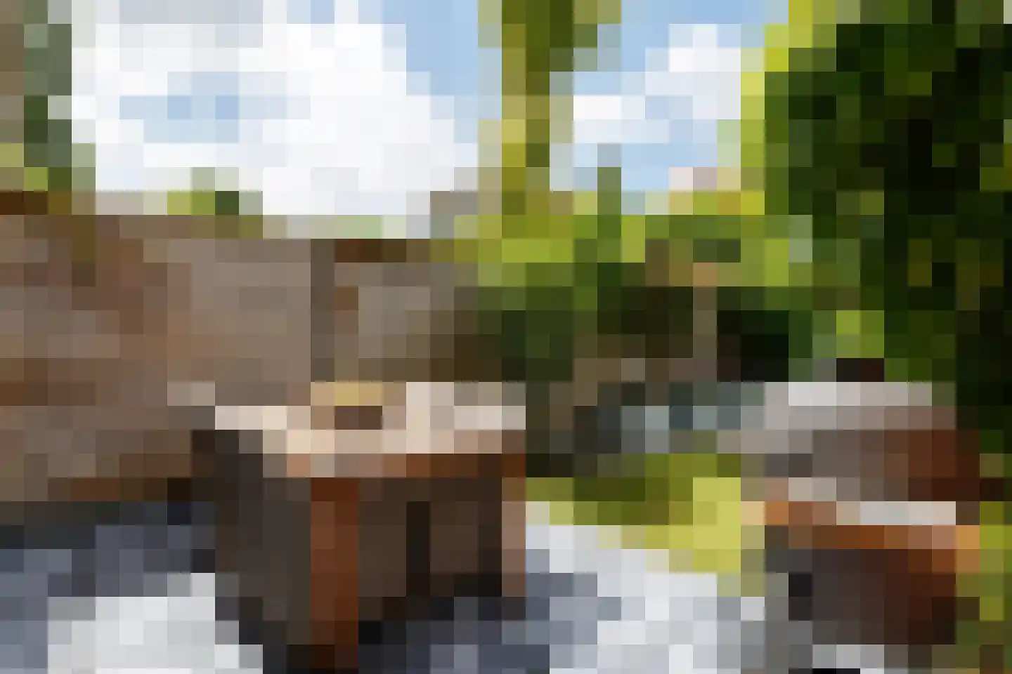 Pijlstaartvlinder 18 Utrecht thumbnail 11