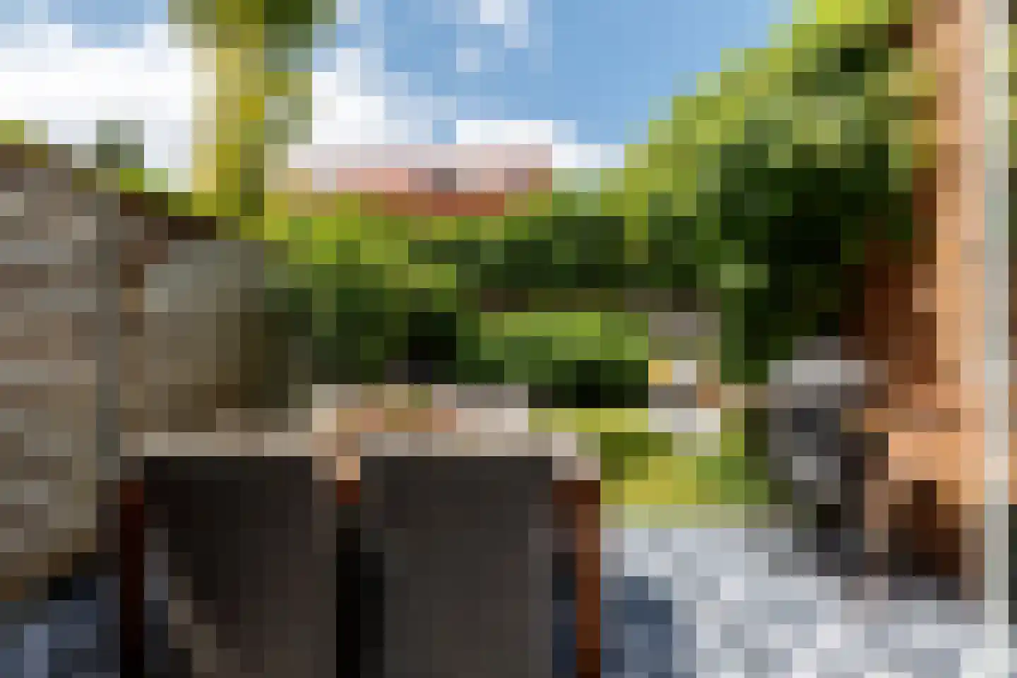 Pijlstaartvlinder 18 Utrecht thumbnail 12