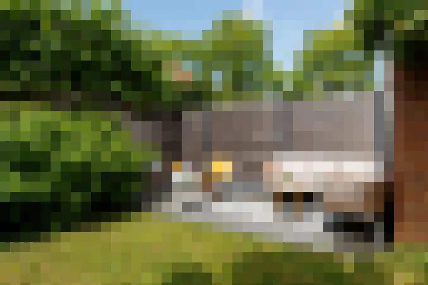 Pijlstaartvlinder 18 Utrecht thumbnail 13