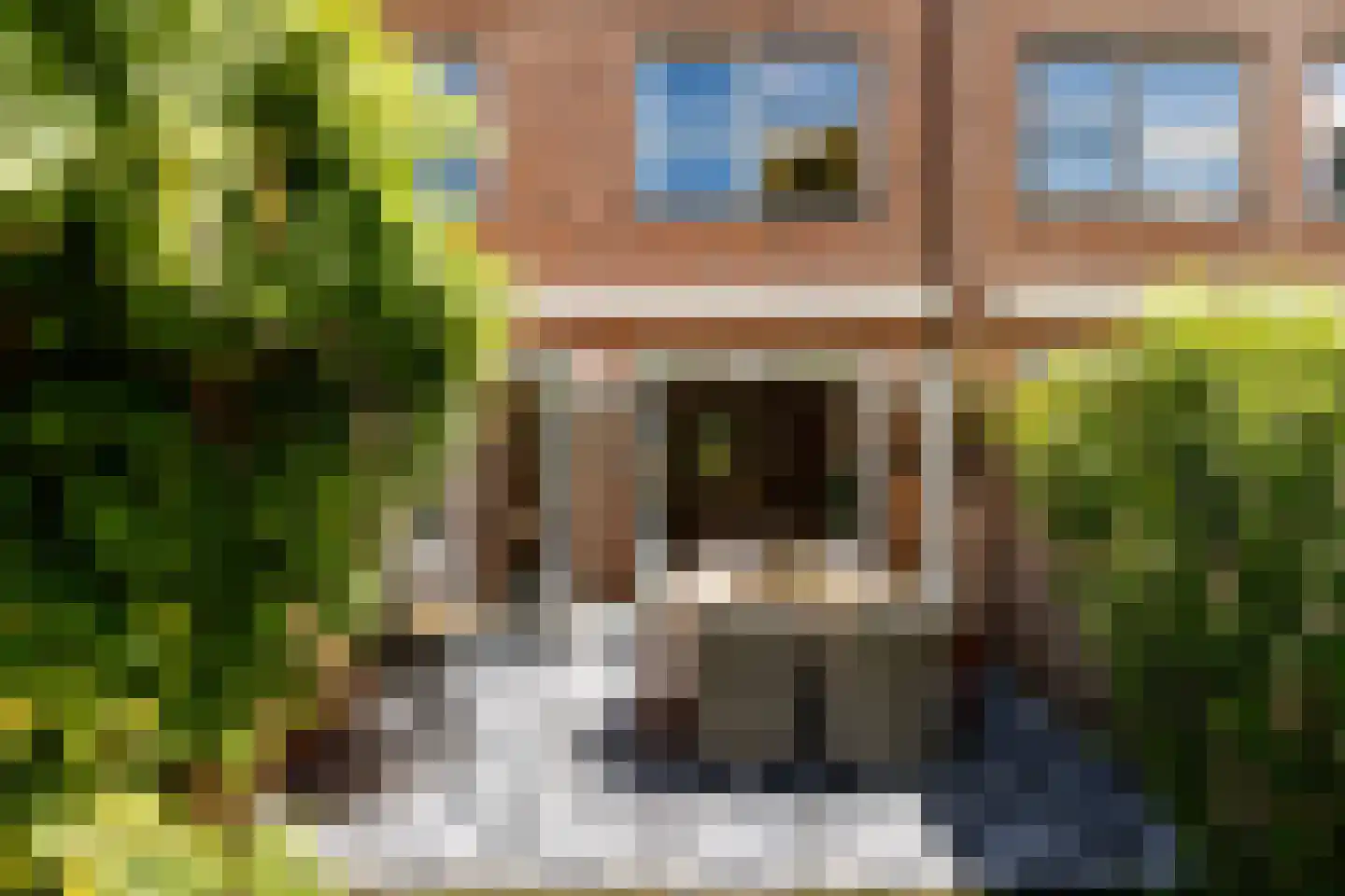 Pijlstaartvlinder 18 Utrecht thumbnail 14