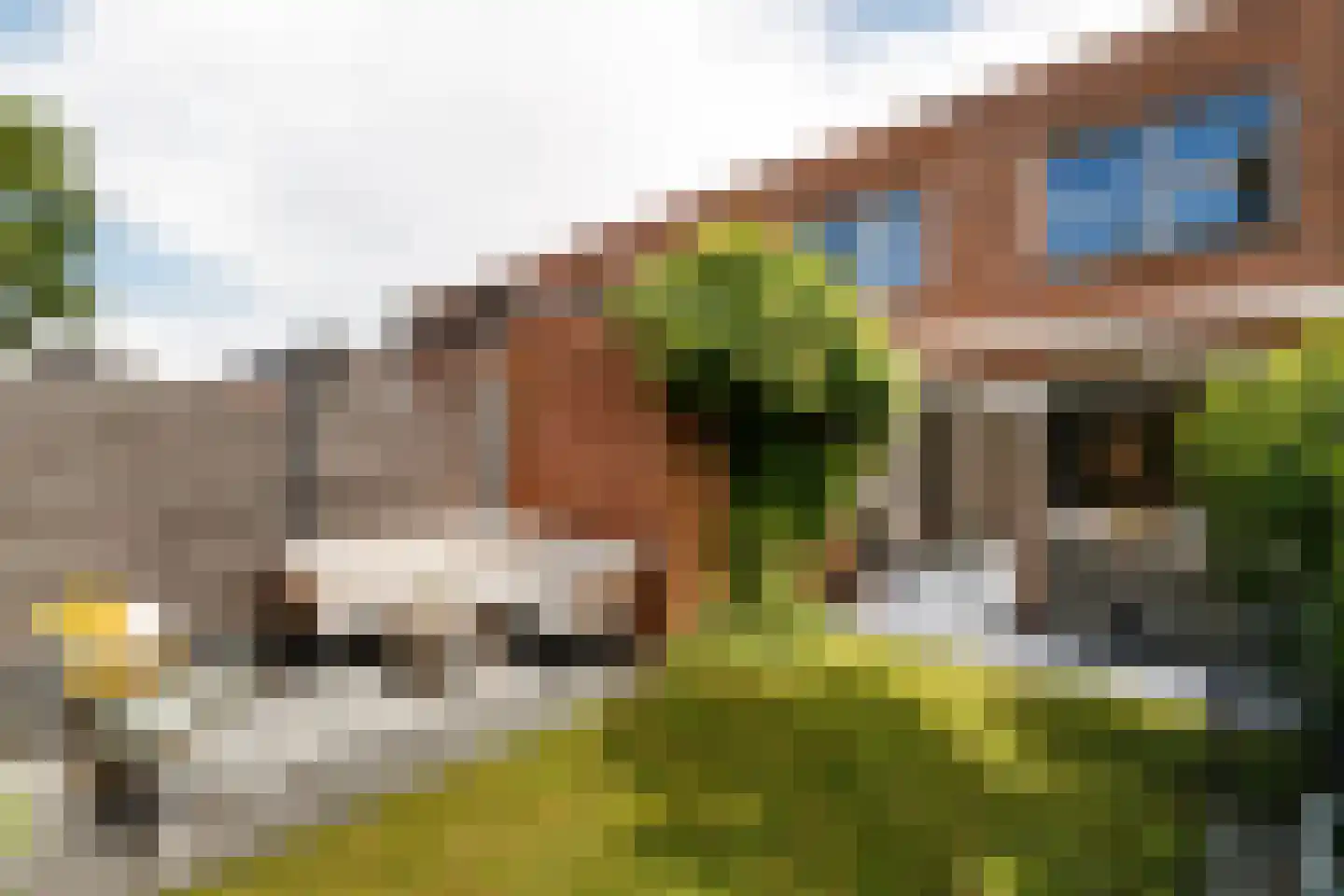 Pijlstaartvlinder 18 Utrecht foto 2