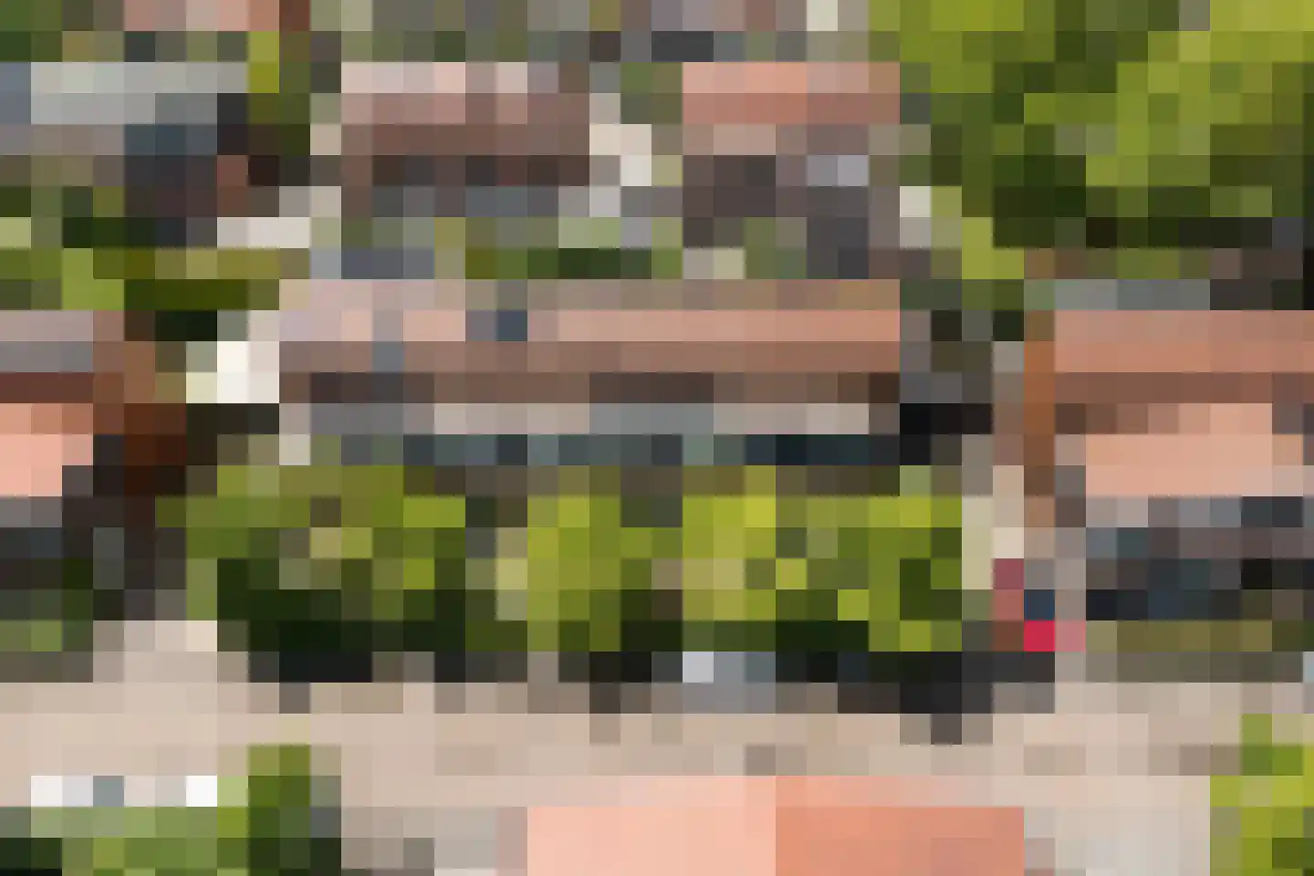 Pijlstaartvlinder 18 Utrecht thumbnail 32