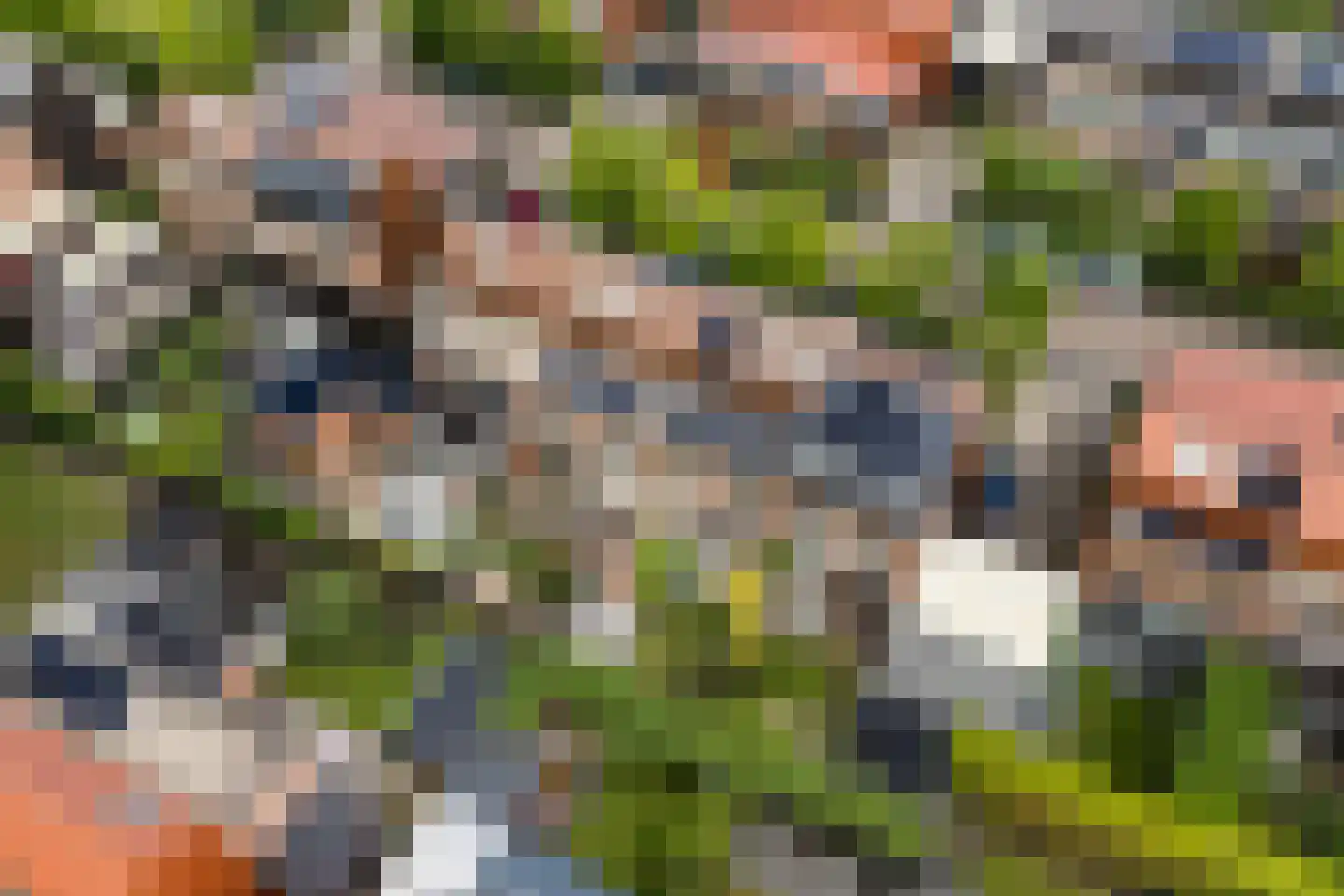 Pijlstaartvlinder 18 Utrecht thumbnail 33