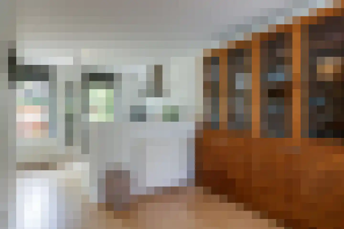 Pijlstaartvlinder 18 Utrecht thumbnail 8