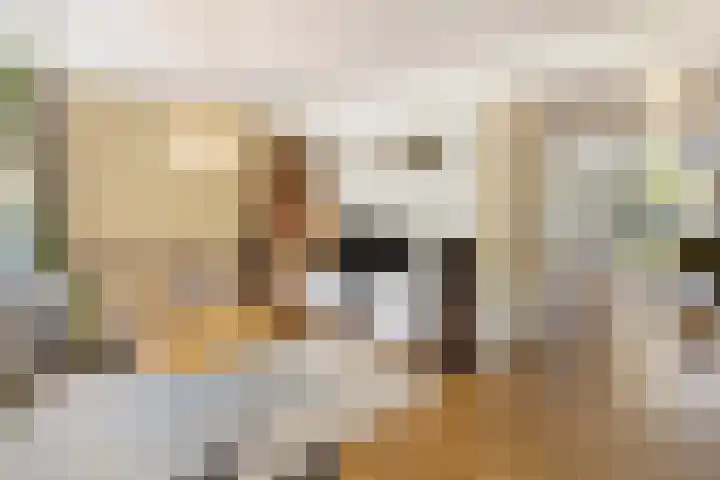 Pijlstaartvlinder 21 Utrecht thumbnail 10
