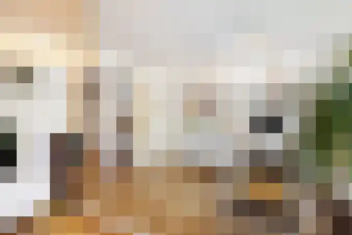 Pijlstaartvlinder 21 Utrecht thumbnail 12