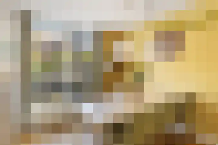 Pijlstaartvlinder 21 Utrecht thumbnail 15