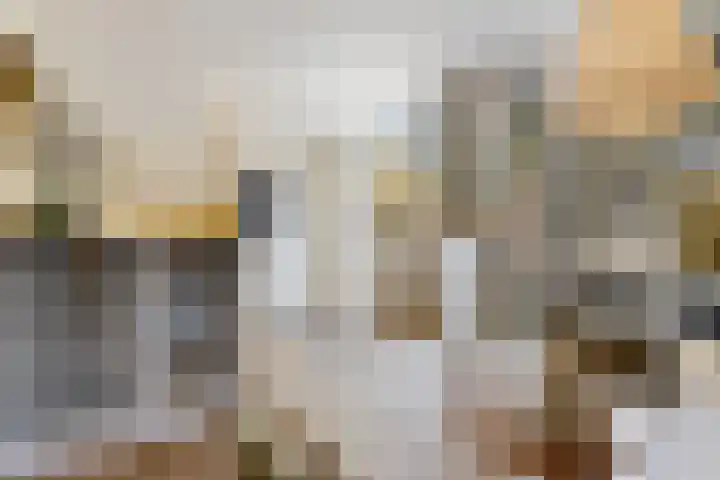 Pijlstaartvlinder 21 Utrecht thumbnail 16