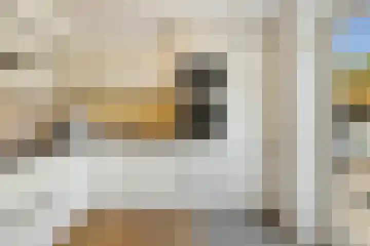 Pijlstaartvlinder 21 Utrecht thumbnail 17