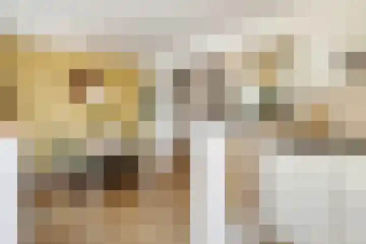 Pijlstaartvlinder 21 Utrecht thumbnail 20