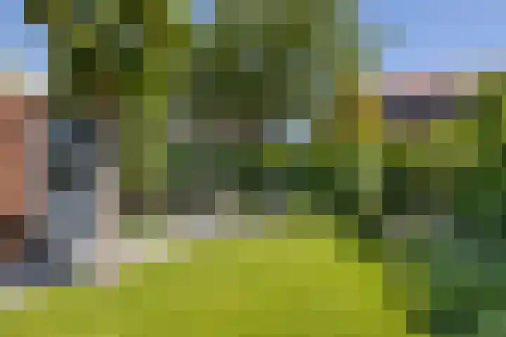 Pijlstaartvlinder 21 Utrecht thumbnail 22