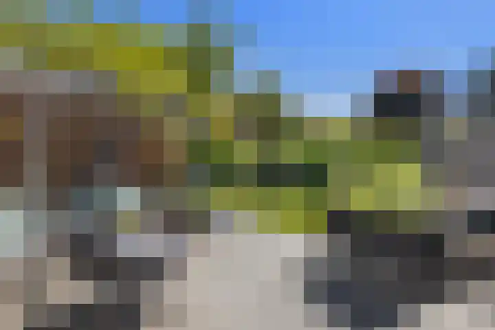 Pijlstaartvlinder 21 Utrecht thumbnail 25
