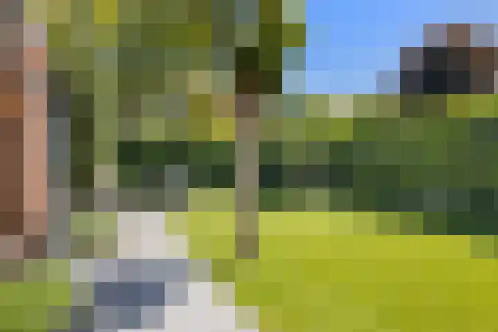 Pijlstaartvlinder 21 Utrecht thumbnail 26