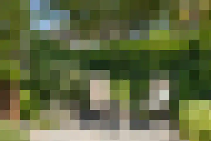 Pijlstaartvlinder 21 Utrecht thumbnail 27