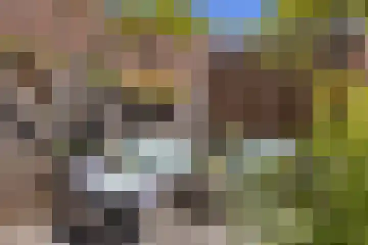 Pijlstaartvlinder 21 Utrecht thumbnail 28