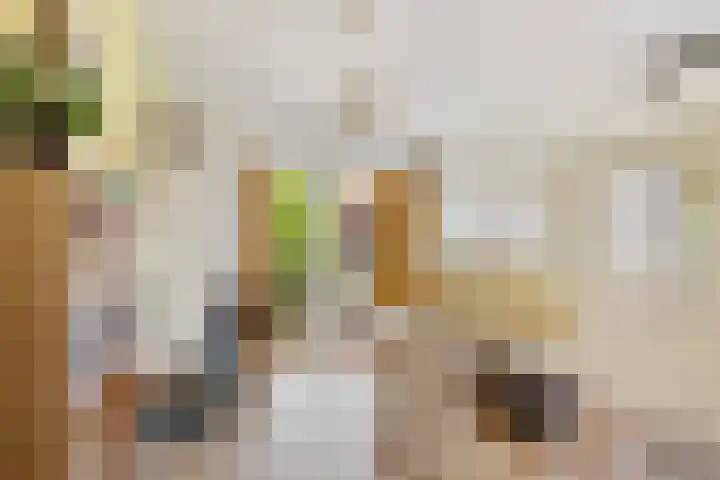 Pijlstaartvlinder 21 Utrecht thumbnail 33