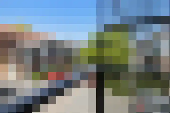 Pijlstaartvlinder 21 Utrecht thumbnail 35