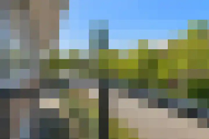 Pijlstaartvlinder 21 Utrecht thumbnail 36