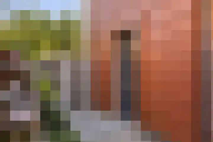 Pijlstaartvlinder 21 Utrecht thumbnail 4