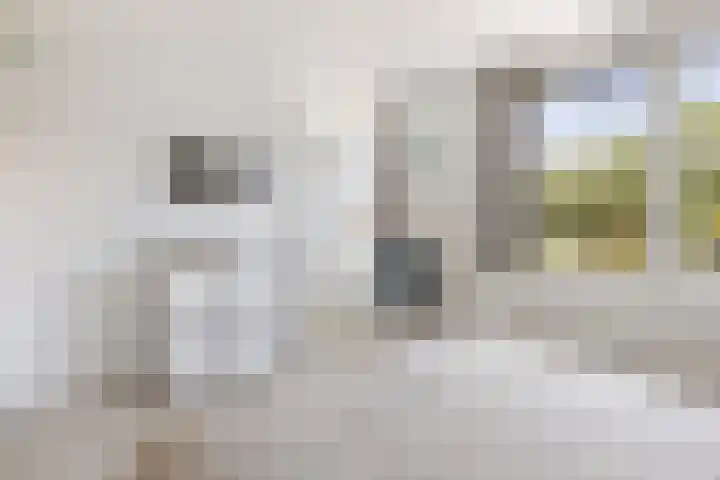 Pijlstaartvlinder 21 Utrecht thumbnail 44