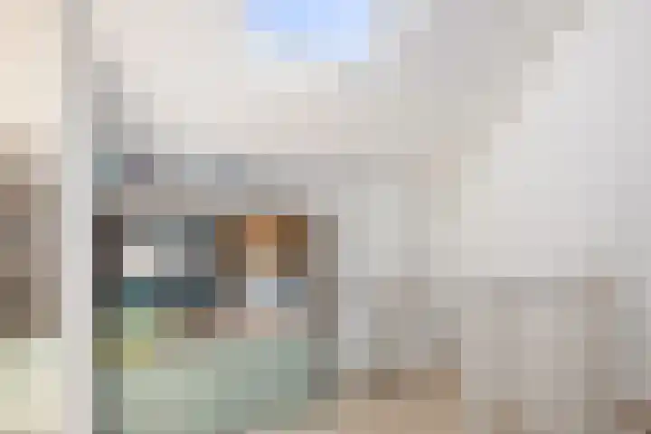 Pijlstaartvlinder 21 Utrecht thumbnail 46