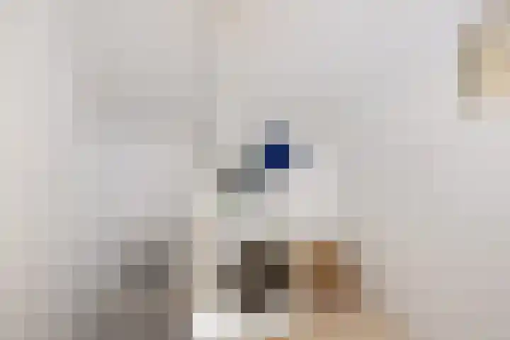 Pijlstaartvlinder 21 Utrecht thumbnail 48