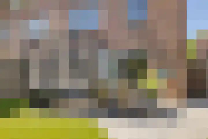 Pijlstaartvlinder 21 Utrecht thumbnail 52