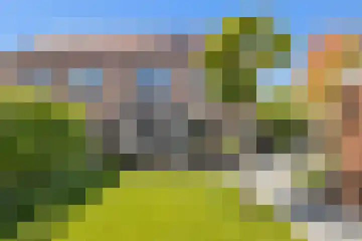 Pijlstaartvlinder 21 Utrecht thumbnail 53