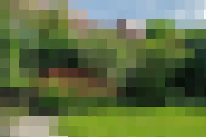 Pijlstaartvlinder 21 Utrecht thumbnail 54