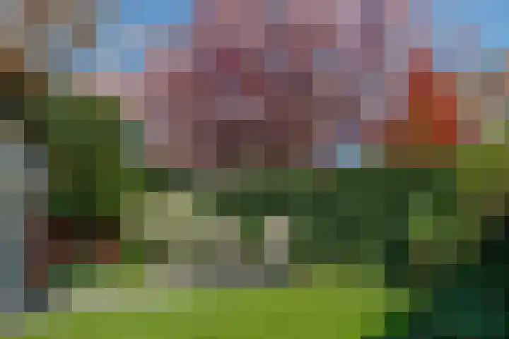Pijlstaartvlinder 21 Utrecht thumbnail 55