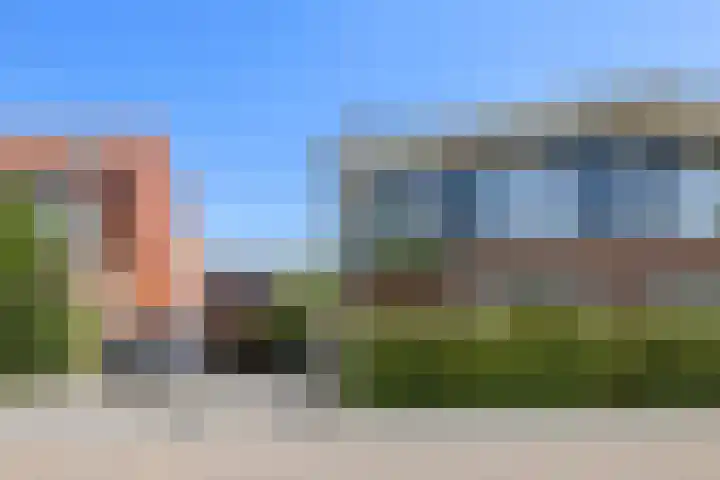 Pijlstaartvlinder 21 Utrecht thumbnail 58