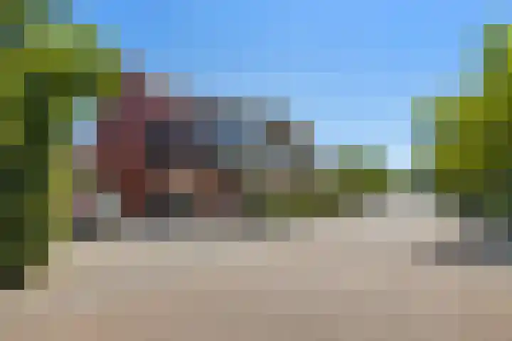 Pijlstaartvlinder 21 Utrecht thumbnail 59