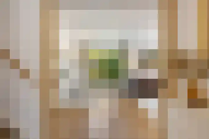 Pijlstaartvlinder 21 Utrecht thumbnail 6