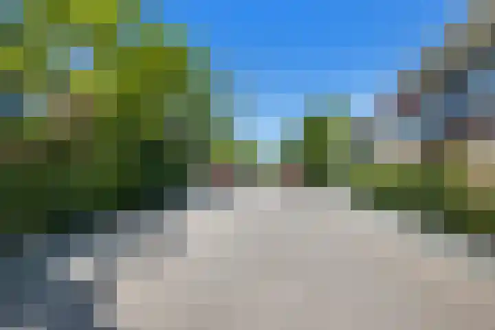 Pijlstaartvlinder 21 Utrecht thumbnail 60